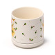 Porcelain Mug &amp; Coaster Lid Set - Christmas Jan Pashley Highland Coo