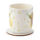 Porcelain Mug &amp; Coaster Set - Jan Pashley Highland Coo Cow