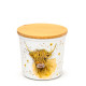 Recycled RPET Set of 2 Storage Jars S/M - Jan Pashley Highland Coo Cow
