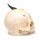 Shadows of Darkness Dragon - Black Dragon in Skull Large