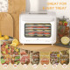 35-70°C Six-Tray Food Dehydrator - White