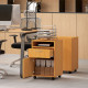 60cm Filing Cabinet with Drawer, Open Shelf, Metal Handles and 4 Wheels, Office Home Organiser Mobile Printer, Natural Wood Fini