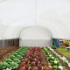 Outsunny 6 x 3 x 2m Walk-in Polytunnel Greenhouse, Zipped Roll Up Sidewalls, Mesh Door, 8 Mesh Windows, Tunnel Warm House Tent w