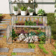 Outsunny Set of 2 Tunnel Greenhouse, Green Grow House with Roll-up Door, Steel Frame, Plastic Cover for Garden, Outdoor, 250 x 1