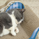 PawHut 2 in1 Cat Scratching Board with Catnip for Indoor Cats, 26.5 x 57 x 26.5cm, Blue