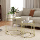Round Coffee Table Set of 2, Glass Nest of Tables with Metal Frame and Tempered Glass Tabletop, Modern Side Tables for Living Ro