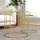 Round Coffee Table Set of 2, Glass Nest of Tables with Metal Frame and Tempered Glass Tabletop, Modern Side Tables for Living Ro