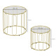 Round Coffee Table Set of 2, Glass Nest of Tables with Metal Frame and Tempered Glass Tabletop, Modern Side Tables for Living Ro