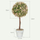 Set of 2 Decorative Artificial Plants, Murraya Flowers in Pot, Fake Plants for Home Indoor outdoor Decor, 60cm, Cream White
