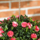 Set of 2 Decorative Artificial Plants, UV-protected Artificial Plant Topiary Rose Balls, Fake Plants for Home Indoor outdoor Dec