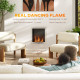 Stainless Steel Ethanol Fireplace Insert, Bioethanol Fire, Indoor Ethanol Burner with 0.9 Litres Volume, Cover Lid, Burns for Up
