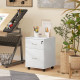 Two Drawer Lockable Filing Cabinet - White Wood Grain
