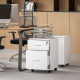 Two Drawer Lockable Filing Cabinet - White Wood Grain