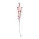 Essential Pink Blossom