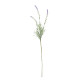 Essential Lavender Stem
