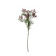Essential Lavender Broom Bloom