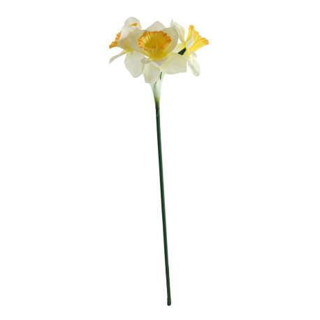 Essential White Mini Daffodil (3 Heads)