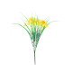 Essential Yellow Wild Daffodil Bunch