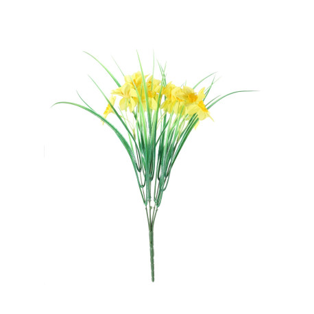 Essential Yellow Wild Daffodil Bunch
