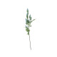 Essential Blue Thistle