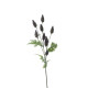 Essential Purple Thistle