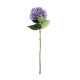 Essential Lilac Giant Hydrangea