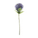 Essential Purple Giant Hydrangea