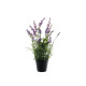 Botanica Flowering Lavender in Pot (47cm)