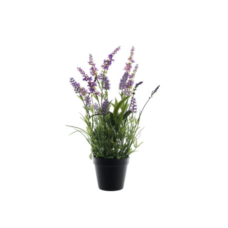 Botanica Flowering Lavender in Pot (47cm)