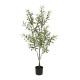 Botanica Olive Tree in pot (120cm)