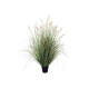 Potted Grass Bush (111cm)