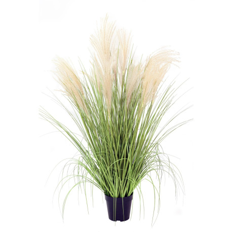 Potted Pampas Bush (99cm)