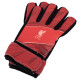 Liverpool FC Fuse Goalkeeper Gloves Yths