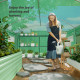 Outsunny 40 x 100cm Three Shelf Steel Frame Greenhouse - Green